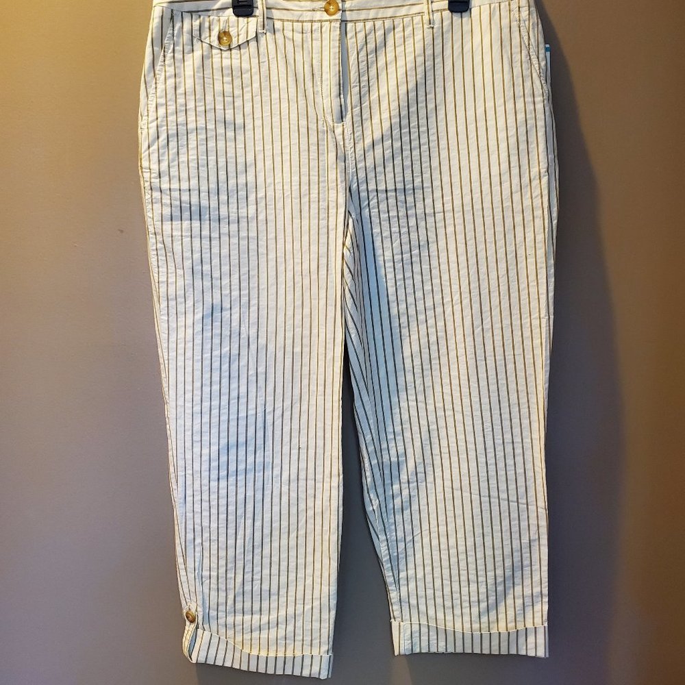 CHARTER CLUB PIN STRIPE PANTS